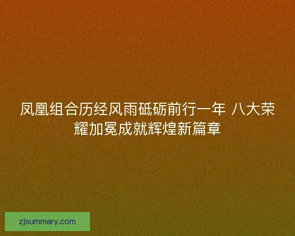 凤凰组合历经风雨砥砺前行一年 八大荣耀加冕成就辉煌新篇章